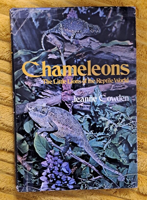 Chameleons: The Little Lions Of The Reptile World – Jeanne Cowden secondhand book