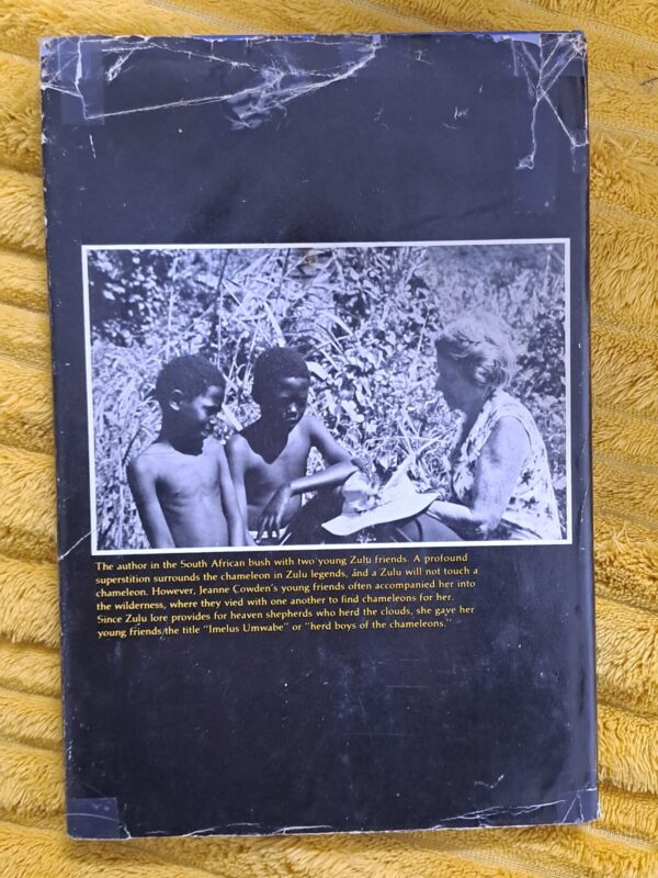 Chameleons: The Little Lions Of The Reptile World – Jeanne Cowden secondhand book
