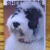 Old English Sheepdogs – Beverly Pisano secondhand book