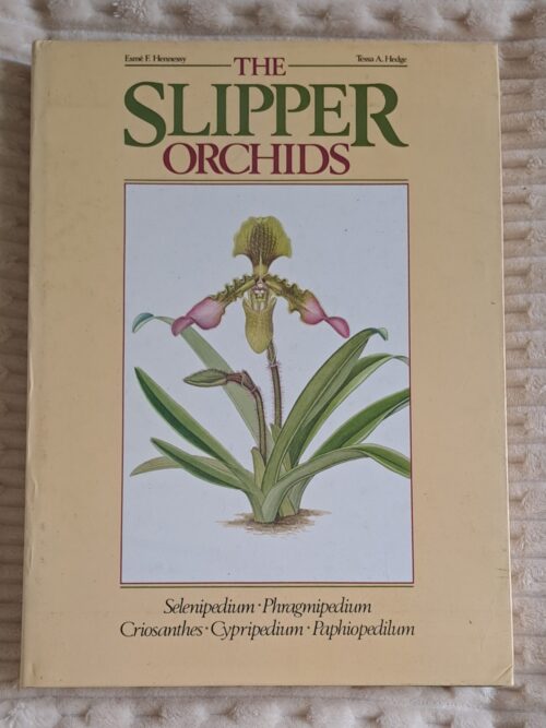 The Slipper Orchids - Esmé F Hennessy, Tessa A Hedge