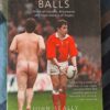 Odd-Shaped Balls – John Scally secondhand book