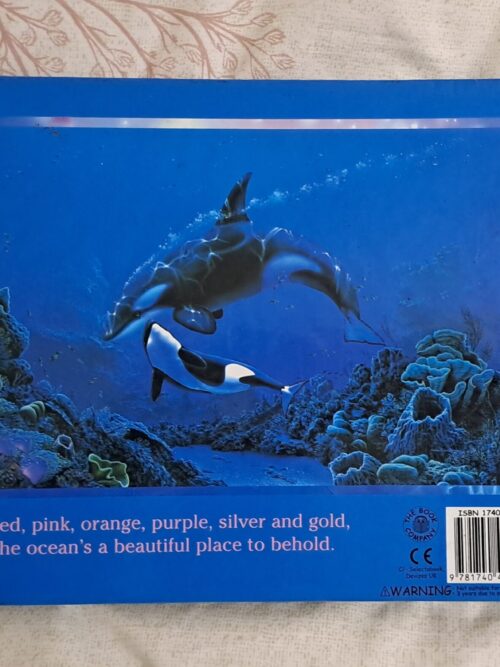 Rainbow Sea – Christian Riese Lassen secondhand book