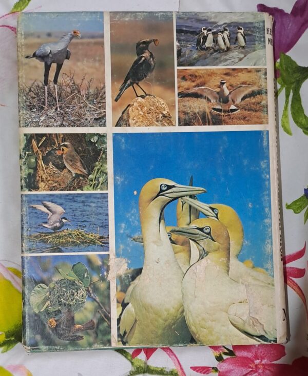 Birdlife In Southern Africa – Kenneth Newman secondhand book