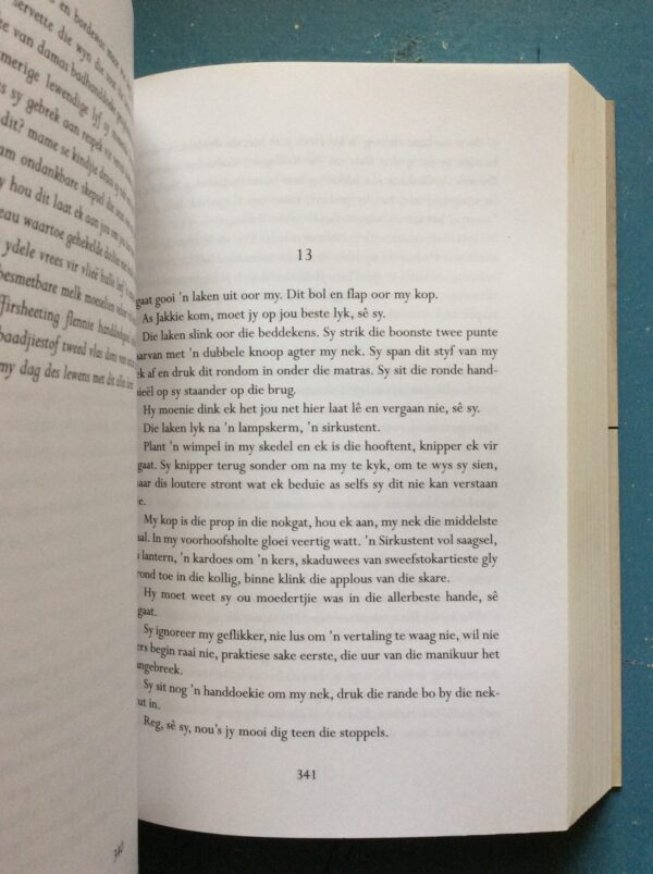 Agaat - Page Agaat – Marlene Van Niekerk secondhand book