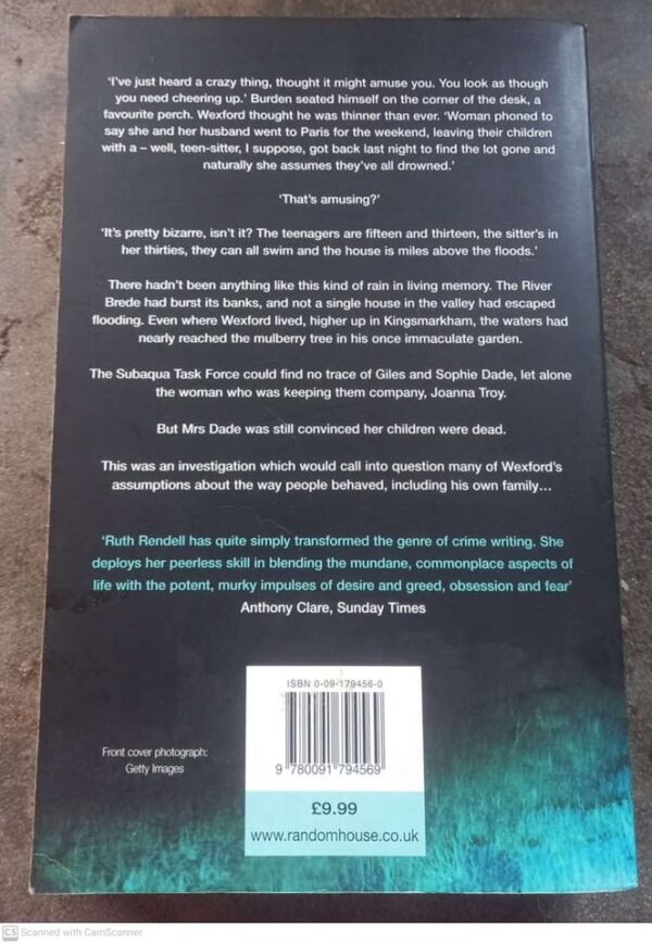 The Babes In The Wood – Ruth Rendell secondhand book