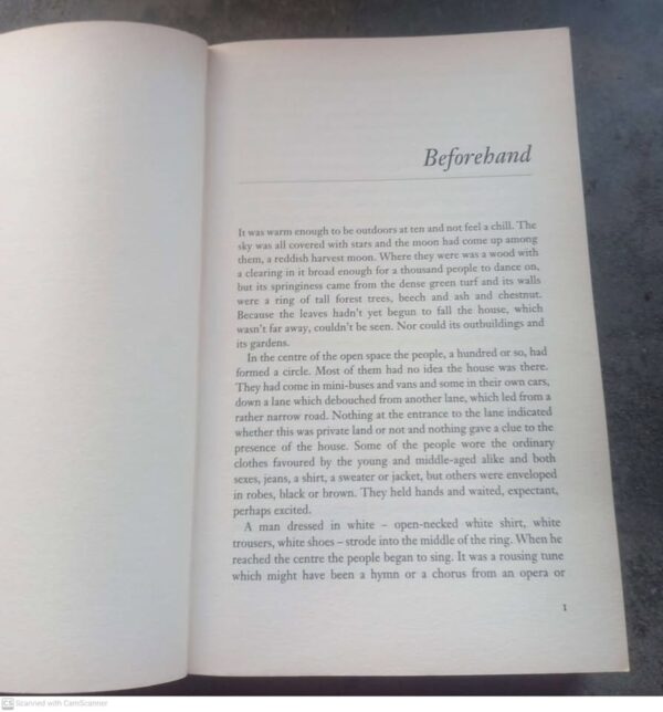 The Babes In The Wood – Ruth Rendell secondhand book