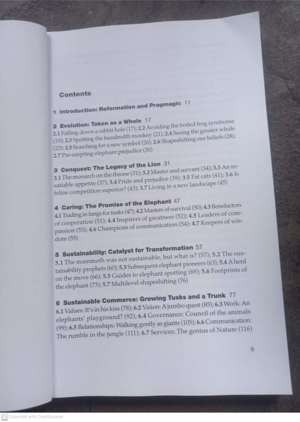 Beyond Reasonable Greed – Wayne Visser, Clem Sunter *SIGNED* secondhand book