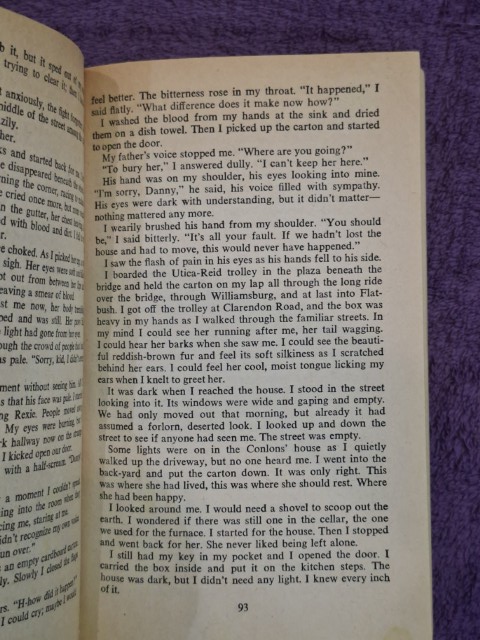 A Stone For Danny Fisher – Harold Robbins secondhand book