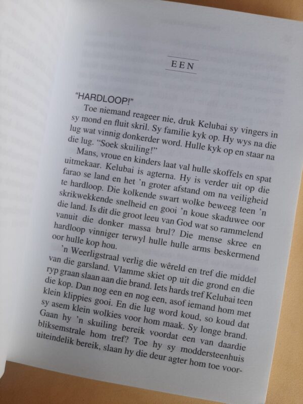 Die Krygsman – Francine Rivers secondhand book