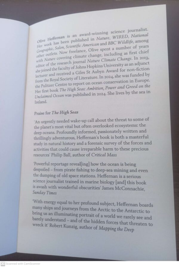 The High Seas – Olive Heffernan secondhand book