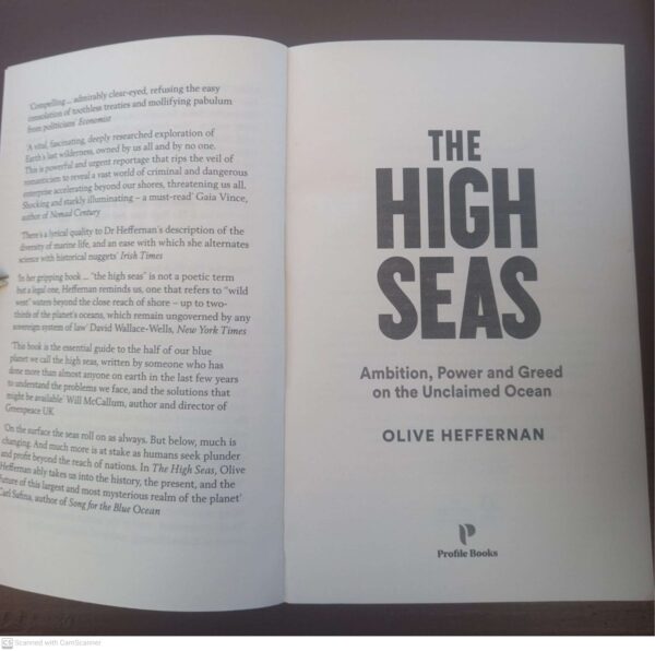 The High Seas – Olive Heffernan secondhand book