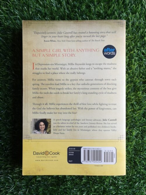 Into The Free – Julie Cantrell secondhand book