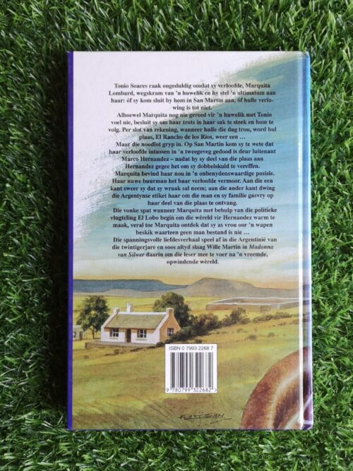 Madonna Van Silwer – Wille Martin secondhand book