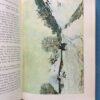 Impressionist Paintings in the Louvre – Germain Bazin secondhand book
