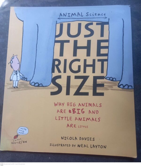 Just The Right Size – Nicola Davies secondhand book