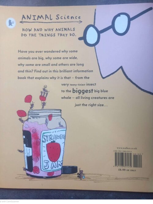 Just The Right Size – Nicola Davies secondhand book