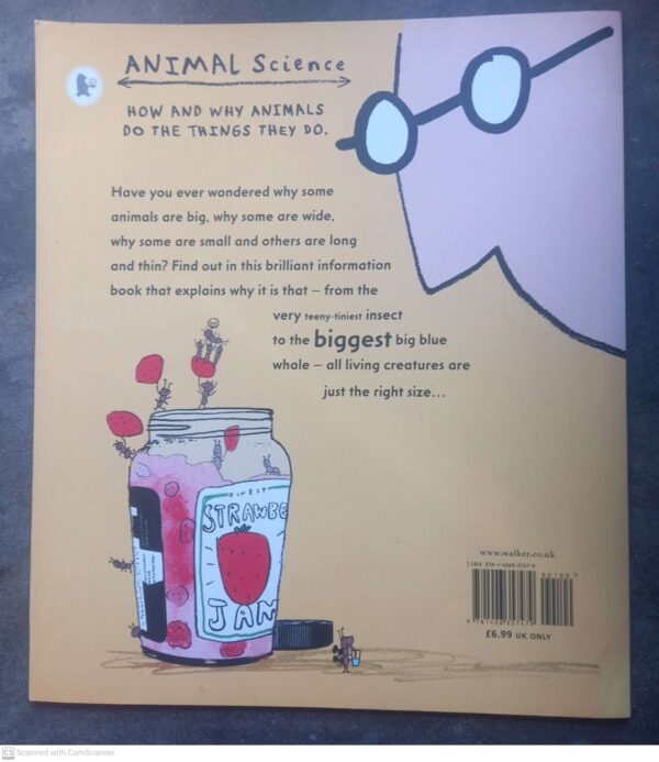 Just The Right Size – Nicola Davies secondhand book