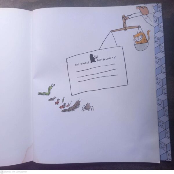 Just The Right Size – Nicola Davies secondhand book