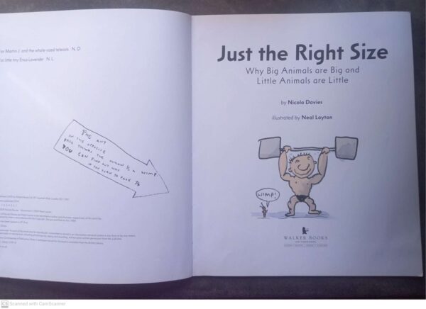 Just The Right Size – Nicola Davies secondhand book