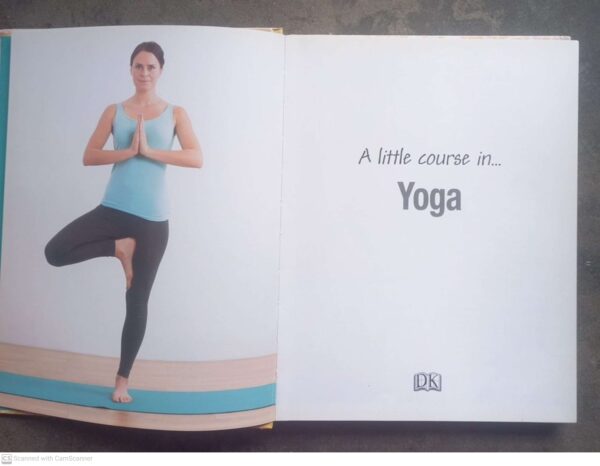 A Little Course In Yoga – Nita Patel, Dave King secondhand book