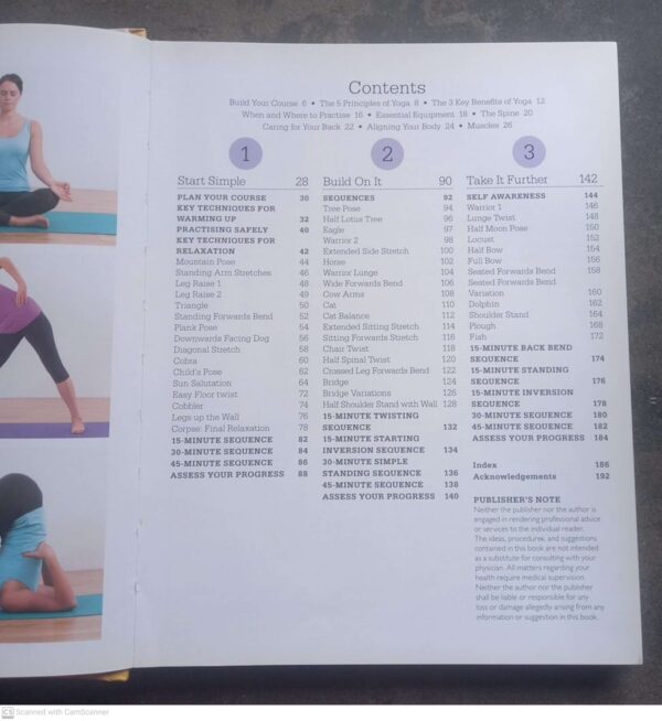A Little Course In Yoga – Nita Patel, Dave King secondhand book