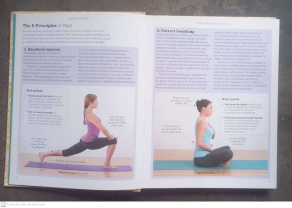 A Little Course In Yoga – Nita Patel, Dave King secondhand book