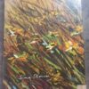 Namaqualand In Flower – Sima Eliovson secondhand book