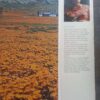 Namaqualand In Flower – Sima Eliovson secondhand book