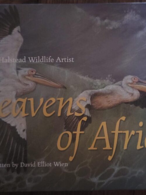 Heavens Of Africa - David Elliot Wien
