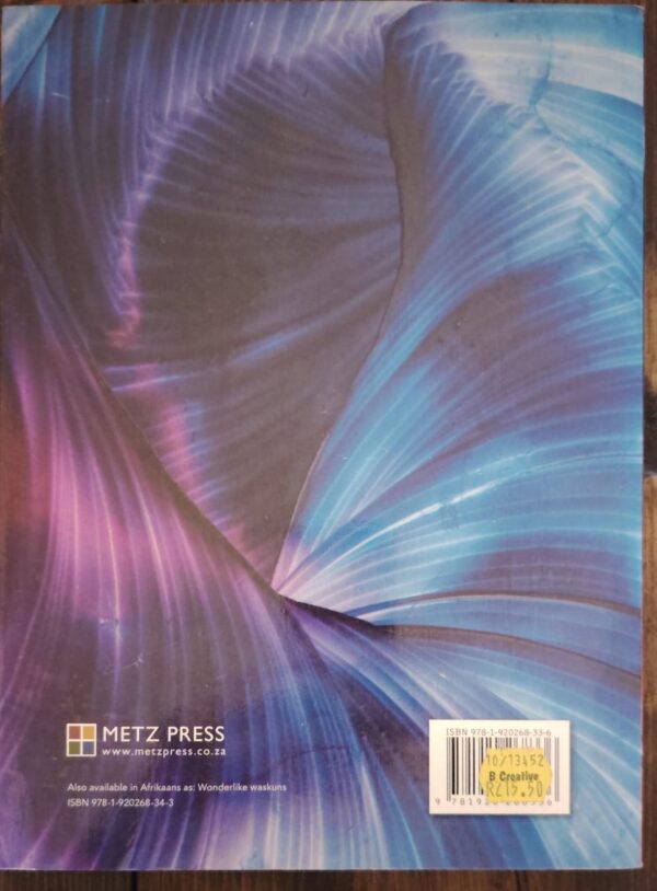Wonderful Ways With Wax – Jann Visser secondhand book
