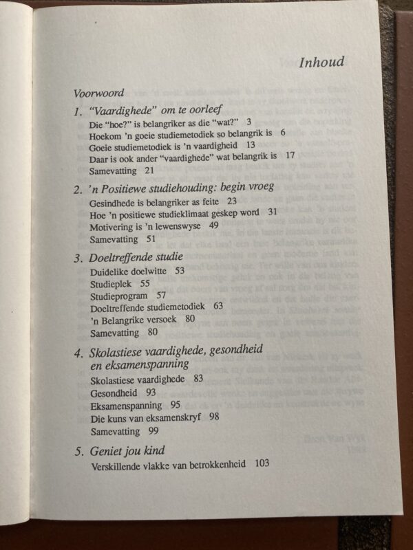 Skoolwerk Sonder Spanning – Deon Van Wyk secondhand book