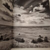 Buffalo Ballad: On The Trail Of An American Icon – Heidi & Hans-Jürgen Koch (English & German) secondhand book