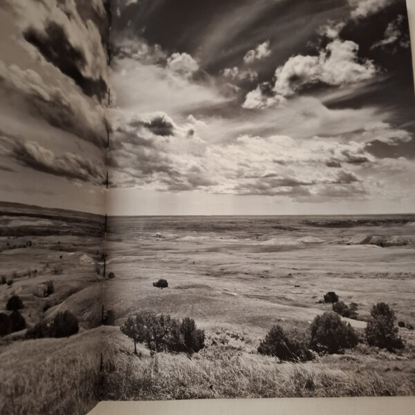 Buffalo Ballad: On The Trail Of An American Icon – Heidi & Hans-Jürgen Koch (English & German) secondhand book