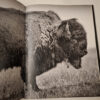 Buffalo Ballad: On The Trail Of An American Icon – Heidi & Hans-Jürgen Koch (English & German) secondhand book