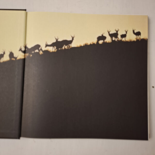 Bronze And Fire: The Art Of Donald Greig secondhand book