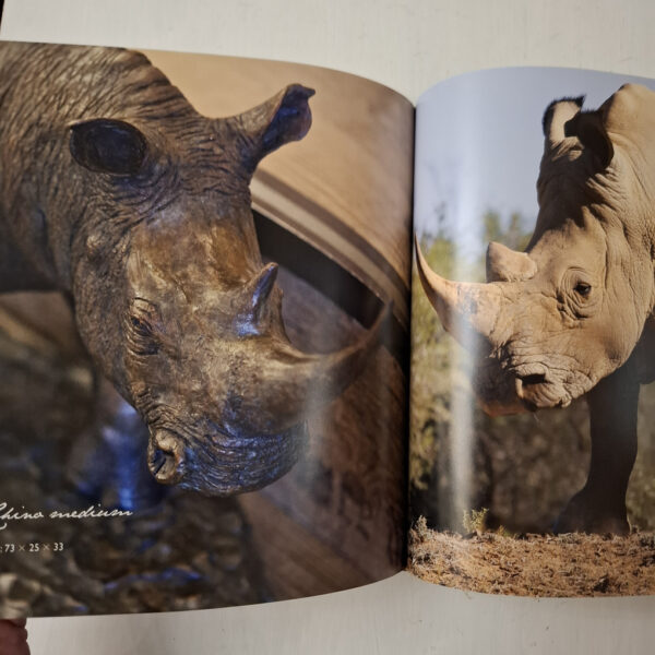 Bronze And Fire: The Art Of Donald Greig secondhand book