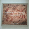 Cederberg Rock Paintings: Follow the San – John Parkington secondhand book