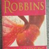 The Raiders - Harold Robbins The Raiders – Harold Robbins secondhand book