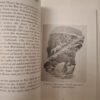 Simon’s Town Its History – The Simon’s Town Historical Society secondhand book
