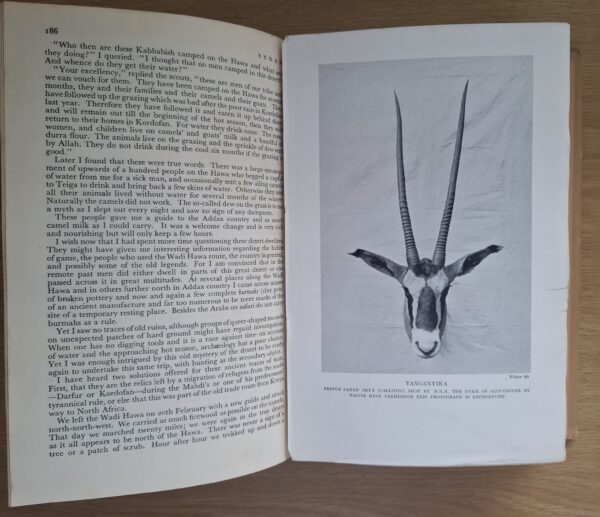 Big Game Shooting In Africa – Major H. C. Maydon secondhand book