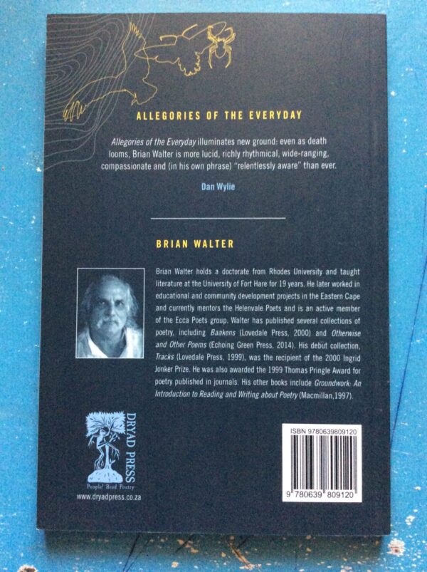 Allegories Of The Everyday – Brian Walter secondhand book