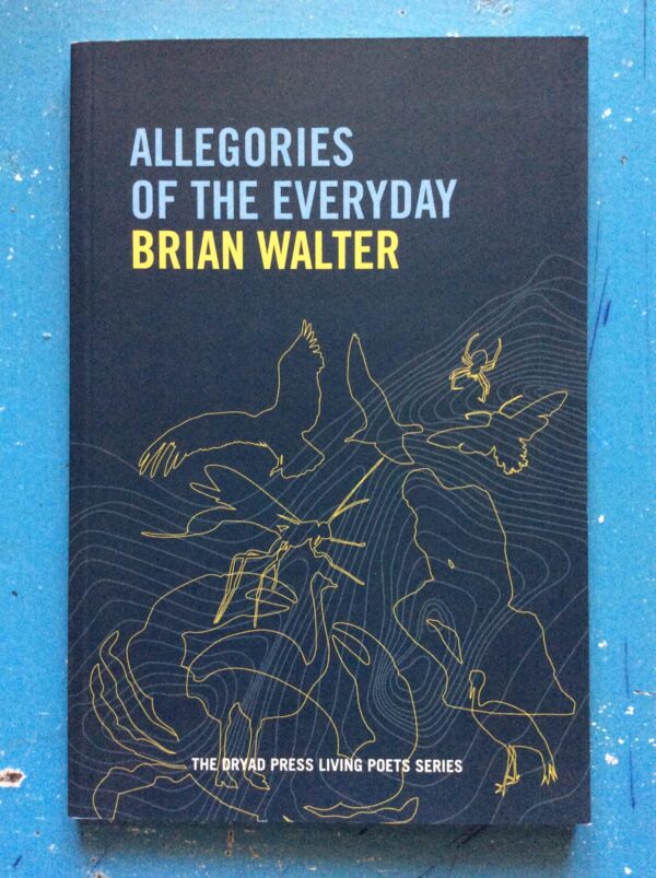 Allegories Of The Everyday – Brian Walter secondhand book