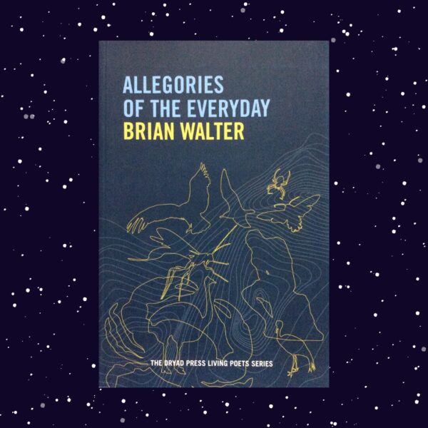 Allegories Of The Everyday – Brian Walter secondhand book
