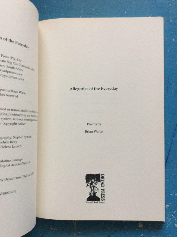Allegories Of The Everyday – Brian Walter secondhand book
