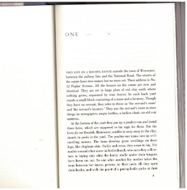 Boyhood: Scenes From Provincial Life — J. M. Coetzee secondhand book