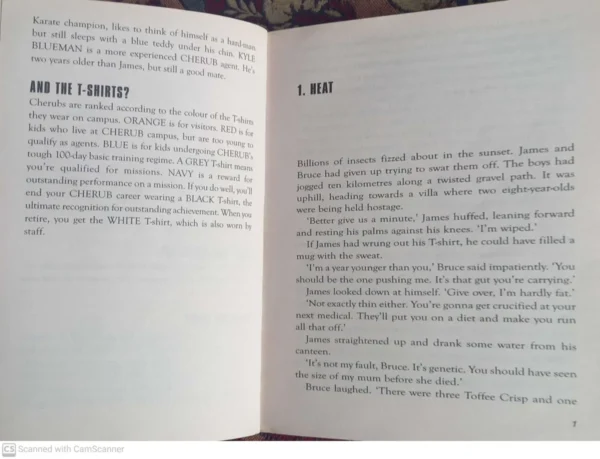 Class A — Robert Muchamore secondhand book