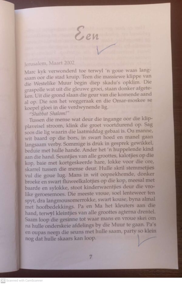 Granate Bloei In Jerusalem — Marzanne Leroux-Van der Boon secondhand book
