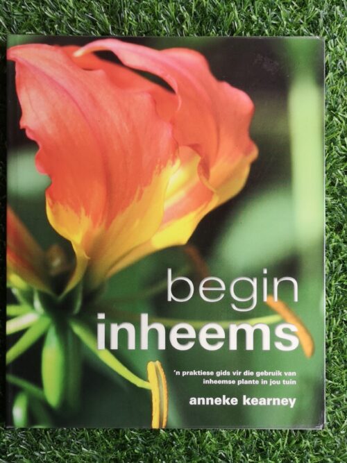 IMG_20250106_120409 Begin Inheems - Anneke Kearney