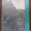 Indigenous Trees Of The Cape Peninsula – M. Whiting Spilhaus secondhand book