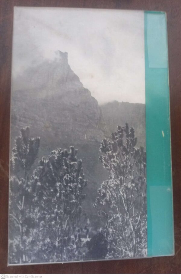 Indigenous Trees Of The Cape Peninsula – M. Whiting Spilhaus secondhand book